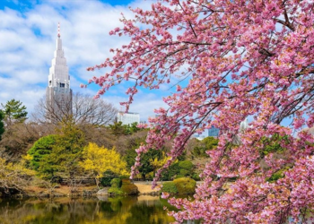 Daftar Wisata Alam di Tokyo, Cocok Buat Me Time & Healing